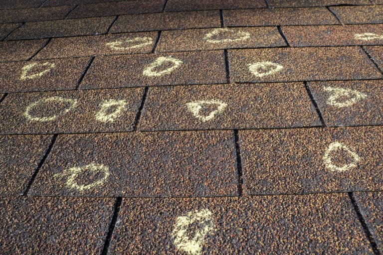 Hail Damage St Paul? - Free Storm Damage Inspections Here - Hail Damage Circled on Shingles by an Assessor