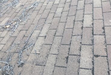 Insurance adjuster says no hail damage