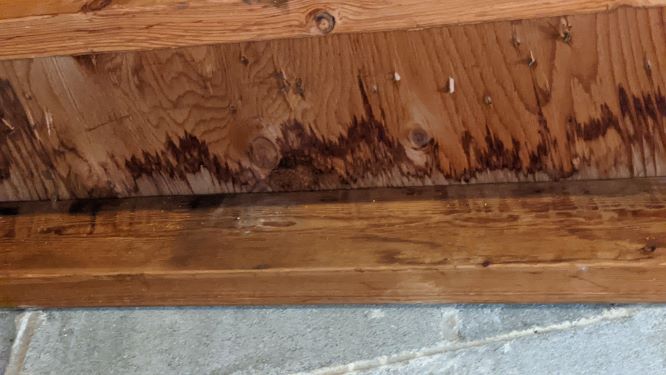 Storm Damage Restoration - New Brighton & St. Paul, Minnesota