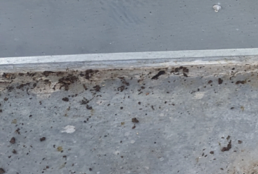 The Art and Science of Rolled Roofing: Not Just Another Roof Over Your Head