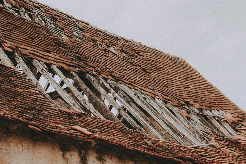 Shelder Image